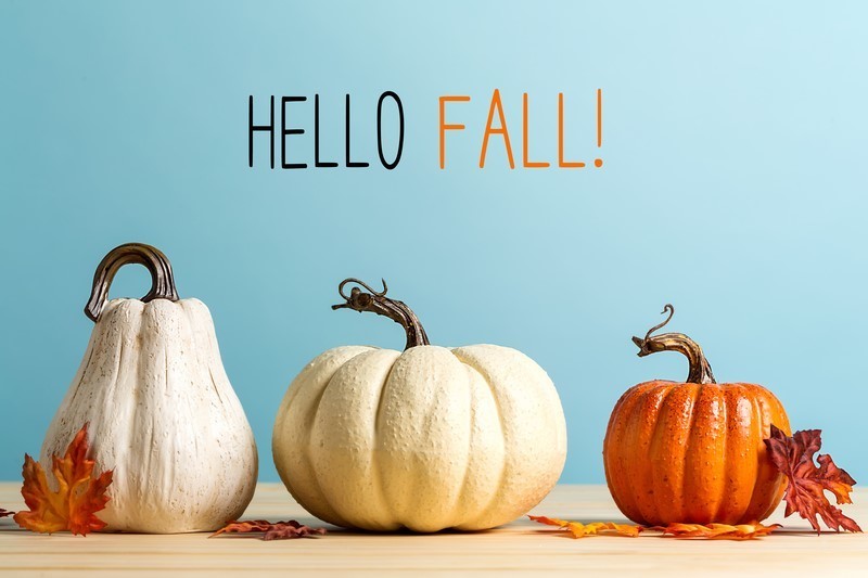 Hello Fall with white and orange pumpkins