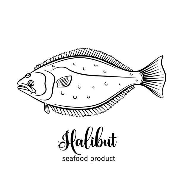 halibut